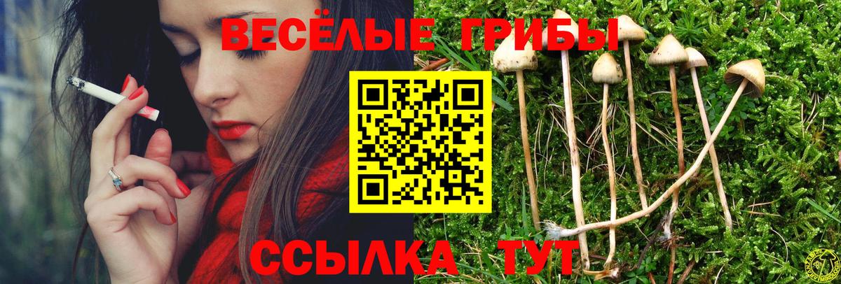 Галлюциногенные грибы Cubensis Унеча