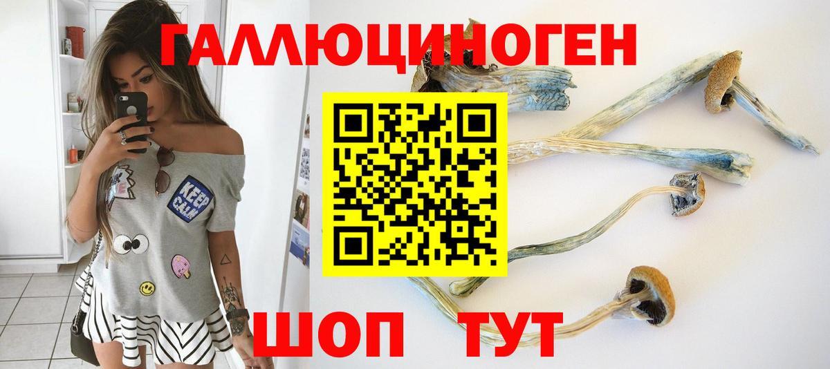 Псилоцибиновые грибы MAGIC MUSHROOMS  Вход с VPN  Галлюциногенные грибы Psilocybe  Унеча 